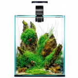 Produse pentru pești