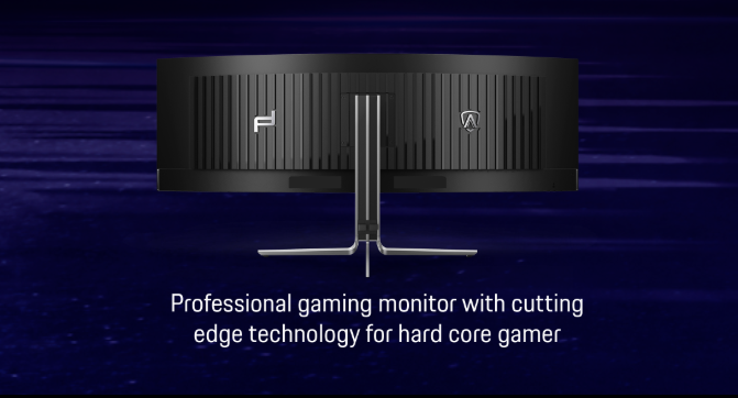 Professional Gaming