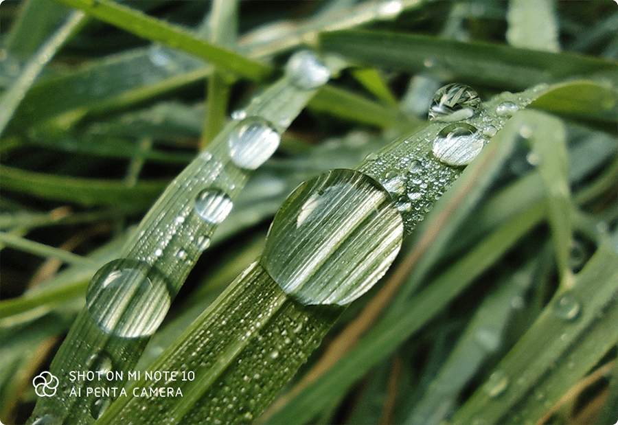 Mi Note 10 macro slide 2