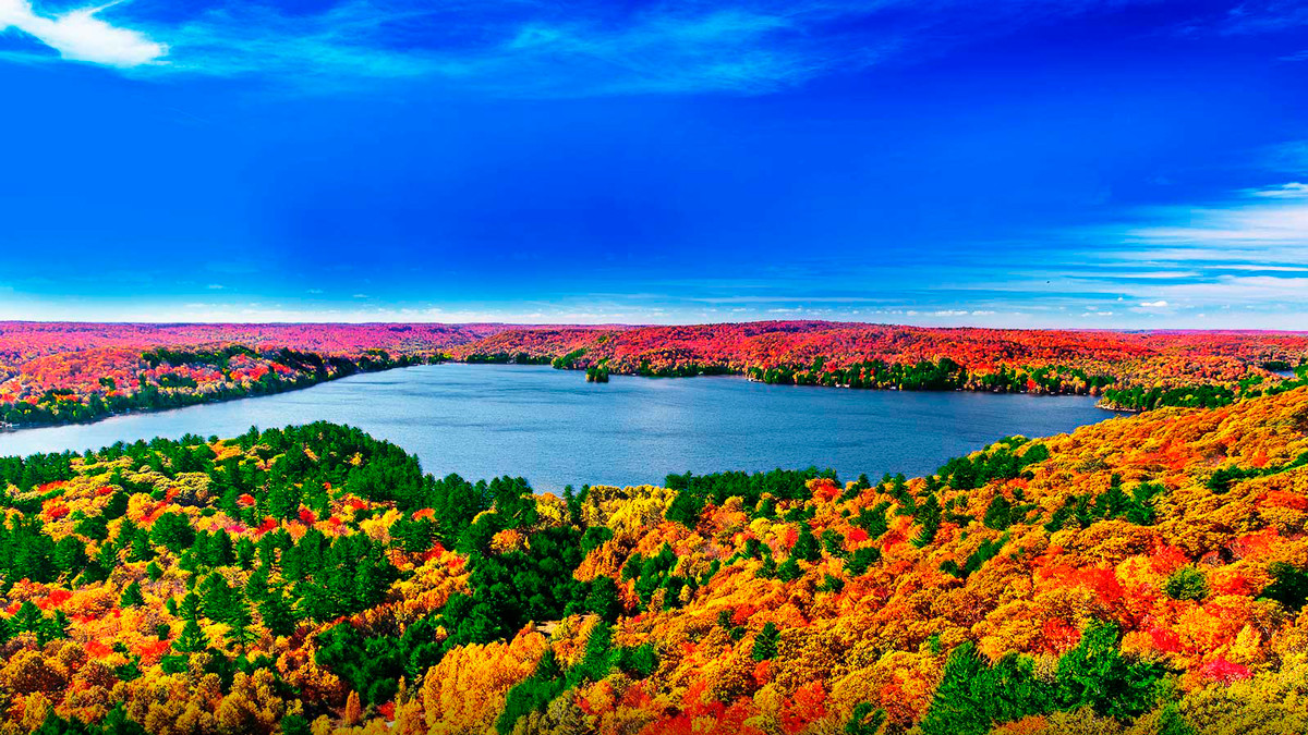 Cекрет потрясающей реалистичности изображений