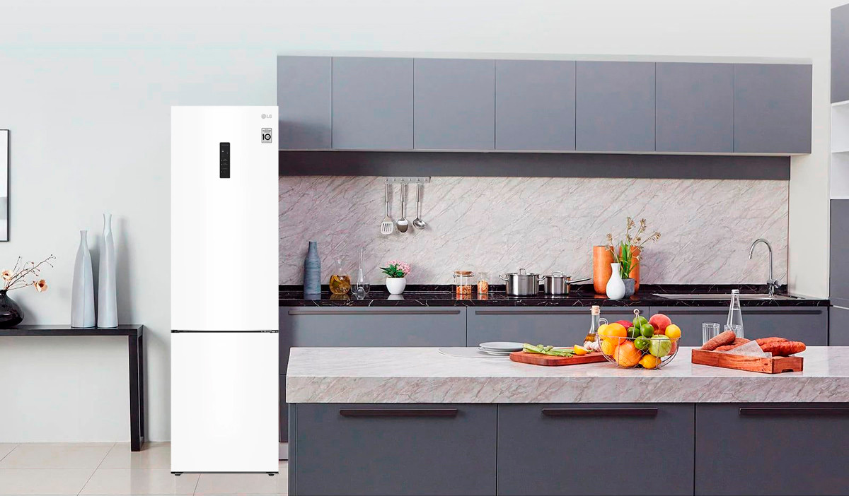 LG GA-B509CQTL LG Design
