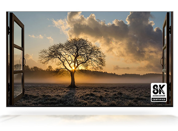 Каждая деталь изображения в мельчайших подробностях