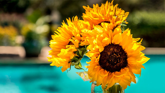 Realistic color reproduction