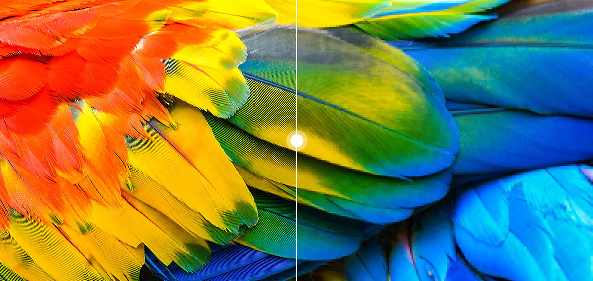 Experimentați măreția unui ecran 4K Ultra HD