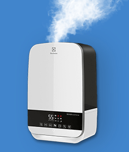 humidifier main