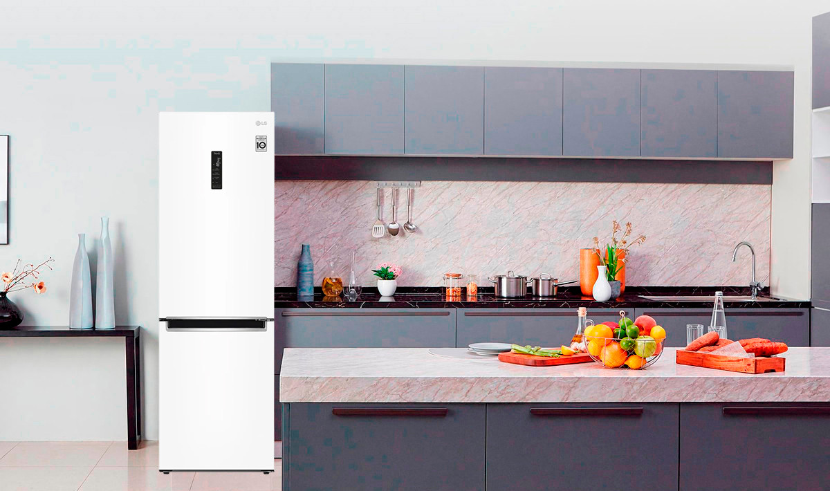 LG GA-B459MQQM Design