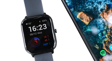 icon companion watches