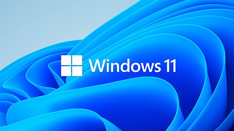 windows 11