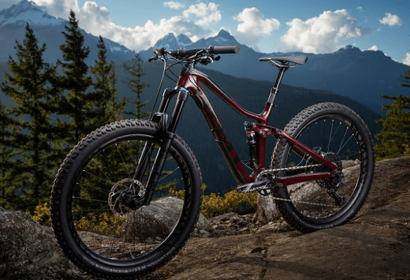 choose bike double suspension