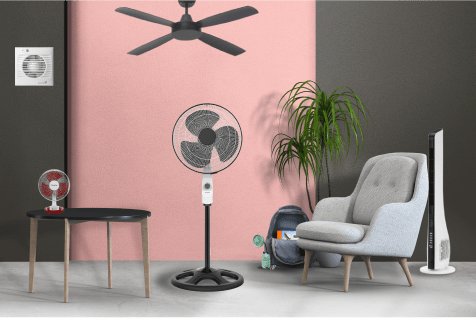 news fan seat