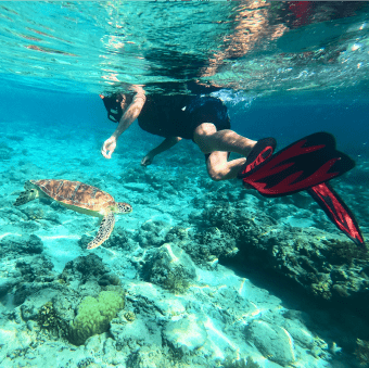 news workout diving