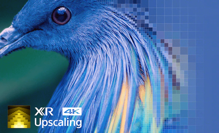 news sony bravia xr upscaling