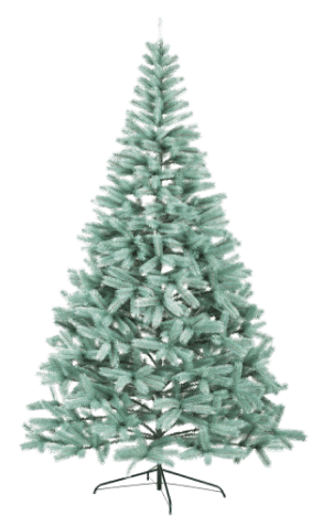 fir blue tree