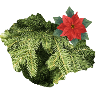 fir cast
