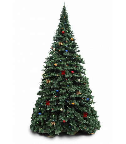 fir height 1