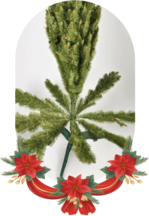 fir traditional option 2