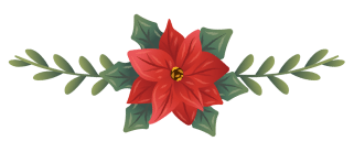 fir frame 6