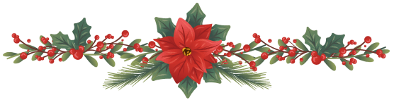 fir frame 7