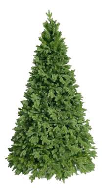 fir green tree