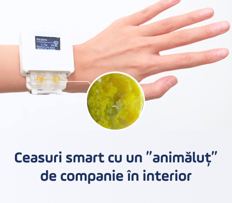 bnr creature smart watch main