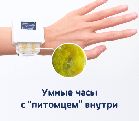 bnr creature smart watch main