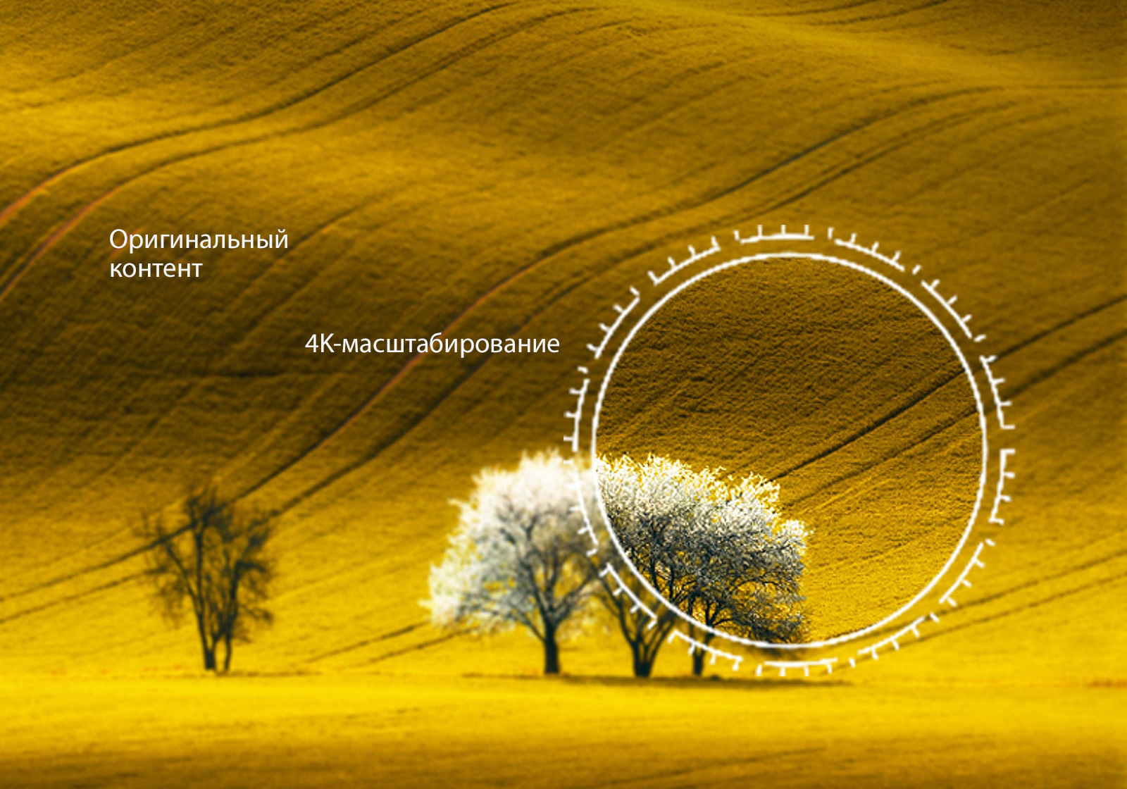 Новый взгляд на масштаб с разрешением 4K