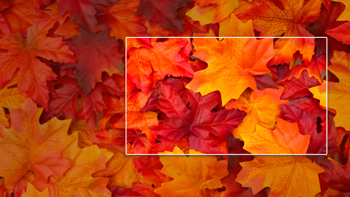 Четкое и детализированное изображение