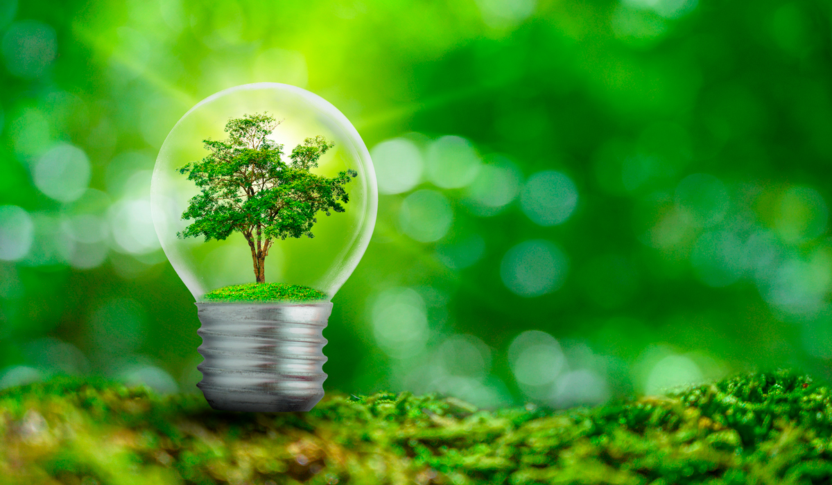 Economisirea de bani