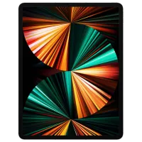 Tabletă Apple iPad Pro 2021 12.9" 8 GB/256 GB LTE MHR73RK/A Silver photo 2