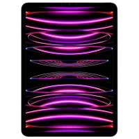 Tabletă Apple iPad Pro 2022 11" 8 GB/256 GB LTE MNYE3RK/A Space Gray photo 2
