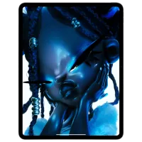 Планшет Apple iPad Pro 2024 13" 16 ГБ/1 ТБ 5G MVXW3NF/A Космос Черный photo 2