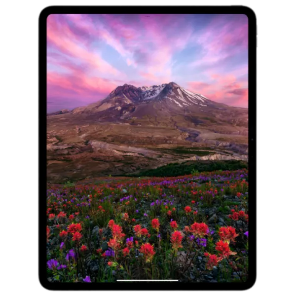 Tabletă Apple iPad Pro 2024 13"/ Silver/ 1 TB/ 5G/ MVXX3NF/ A photo 2