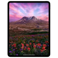 Планшет Apple iPad Pro 2024 13" 16 ГБ/1 ТБ 5G MVXX3NF/A Серебряный photo 2