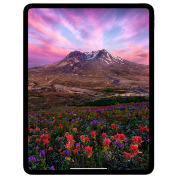Tabletă Apple iPad Pro 2024 13"/ Silver/ 2 TB/ 5G/ MWT23NF/ A photo 2