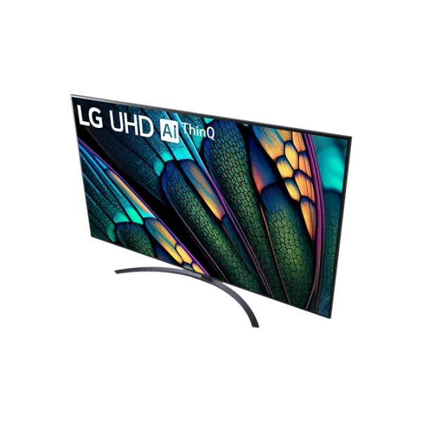 Телевизор LG 65UR81006LJ 65"/ LED/ 4K/ Smart TV/ Черный photo 6 Телевизор LG 65UR81006LJ 65"/ LED/ 4K/ Smart TV/ Черный photo 6