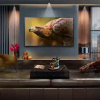 Televizor LG OLED65G45LW 65" / OLED / 4K / Smart TV / Black photo 4