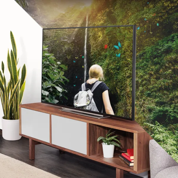 Televizor Toshiba 43QA2363DG 43" / QLED / 4K / Smart TV / Black photo 3