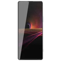 Smartphone Sony Xperia 1 III 12 GB/ 256 GB/ Dual SIM/ Gray photo 2