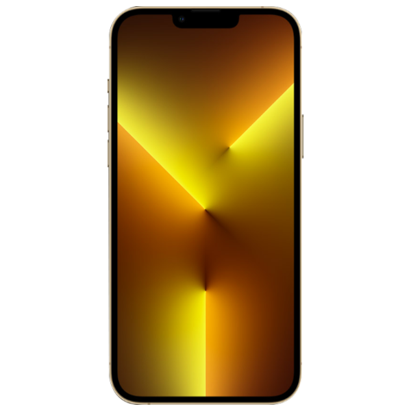 Apple iPhone 13 Pro Max 6 GB/ 1 TB/ Single SIM/ Gold  photo 2