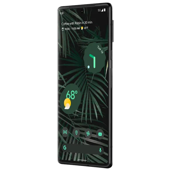 Google Pixel 6 Pro 12 GB/ 128 GB/ Single SIM/ Black Stormy photo 4