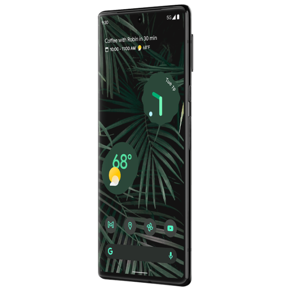 Google Pixel 6 Pro 12 GB/ 256 GB/ Single SIM/ Black Stormy photo 4