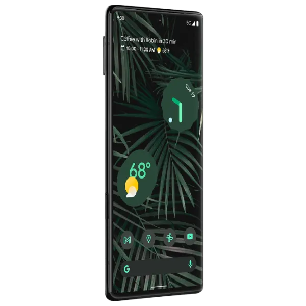 Google Pixel 6 Pro 12 GB/ 256 GB/ Single SIM/ Black Stormy photo 5