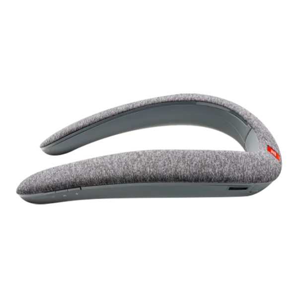 Boxă portabilă JBL SoundGear BTA 6 W/ Gray photo 3 Boxă portabilă JBL SoundGear BTA 6 W/ Gray photo 3