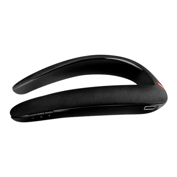 Boxă portabilă JBL SoundGear BTA 6 W/ Black photo 3 Boxă portabilă JBL SoundGear BTA 6 W/ Black photo 3