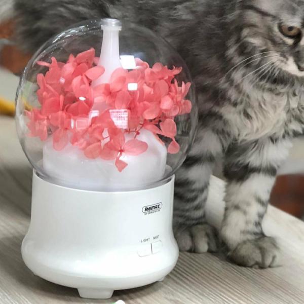 Umidificator de aer Remax Aroma Lamp RT-A700 Cu ultrasunet/ Pink photo 3