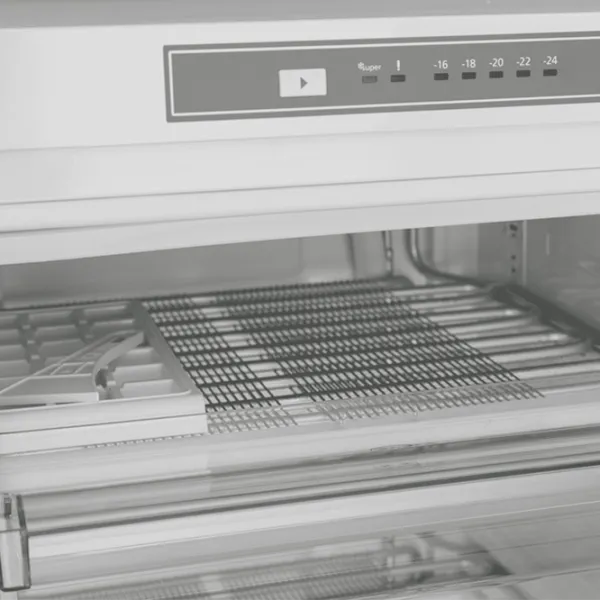 Congelator SHARP SJ-SF182E2W-EU White photo 5