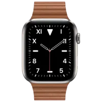 Умные часы Apple Watch Series 5 1.78"/ MWVE2/ Коричневый Черный photo 2