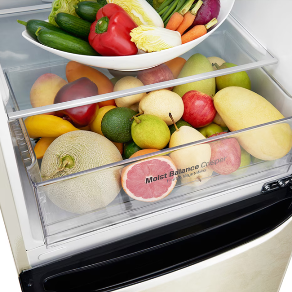 Frigider LG GA-B429SEQZ  302 l / 190.7 cm / Beige photo 9