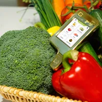Нитратомер Greentest Eco 6 Золотой photo 5