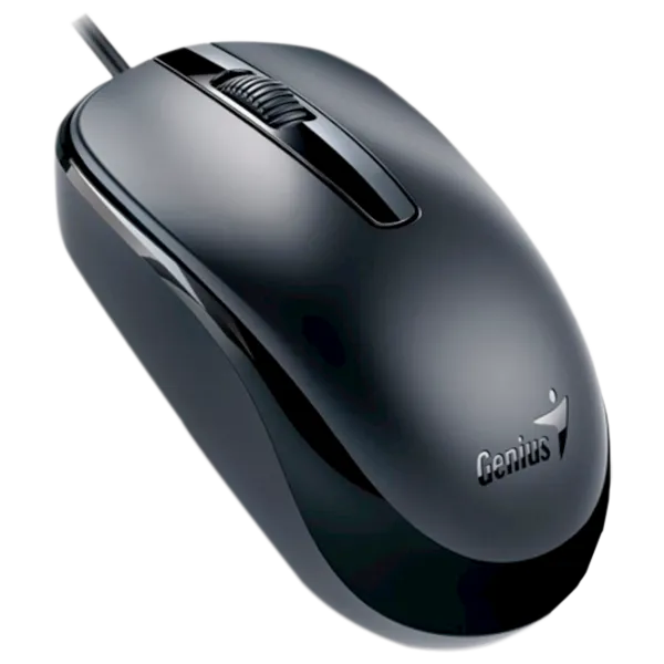 Mouse Genius DX-120 USB/ Black photo 2